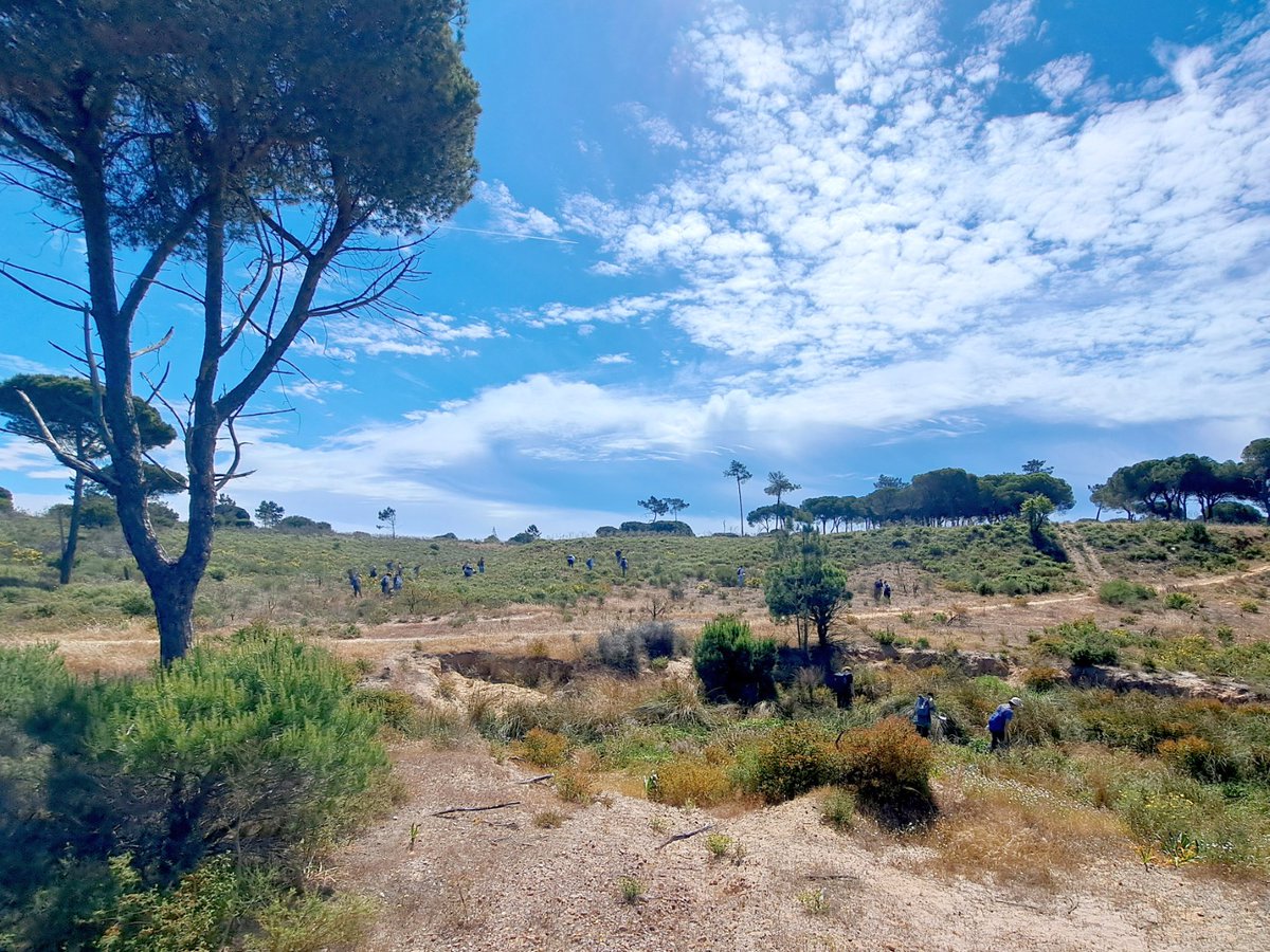 ICArEHB's tweet photo. Last Saturday, our Archaeology and Cultural Heritage students explored the landscape with #ICArEHB members, learning about survey, geomorphology, erosion, and climate vulnerability. A true open-air classroom at the doorstep of the campus. #UAlg #Archaeology #FieldTrip #Climate https://t.co/v2klFhJNea