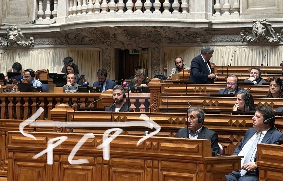 Mariana Leitão tweet media