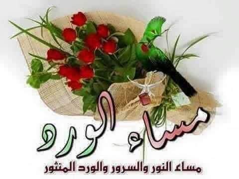 Emymouhamd mouhamd tweet media