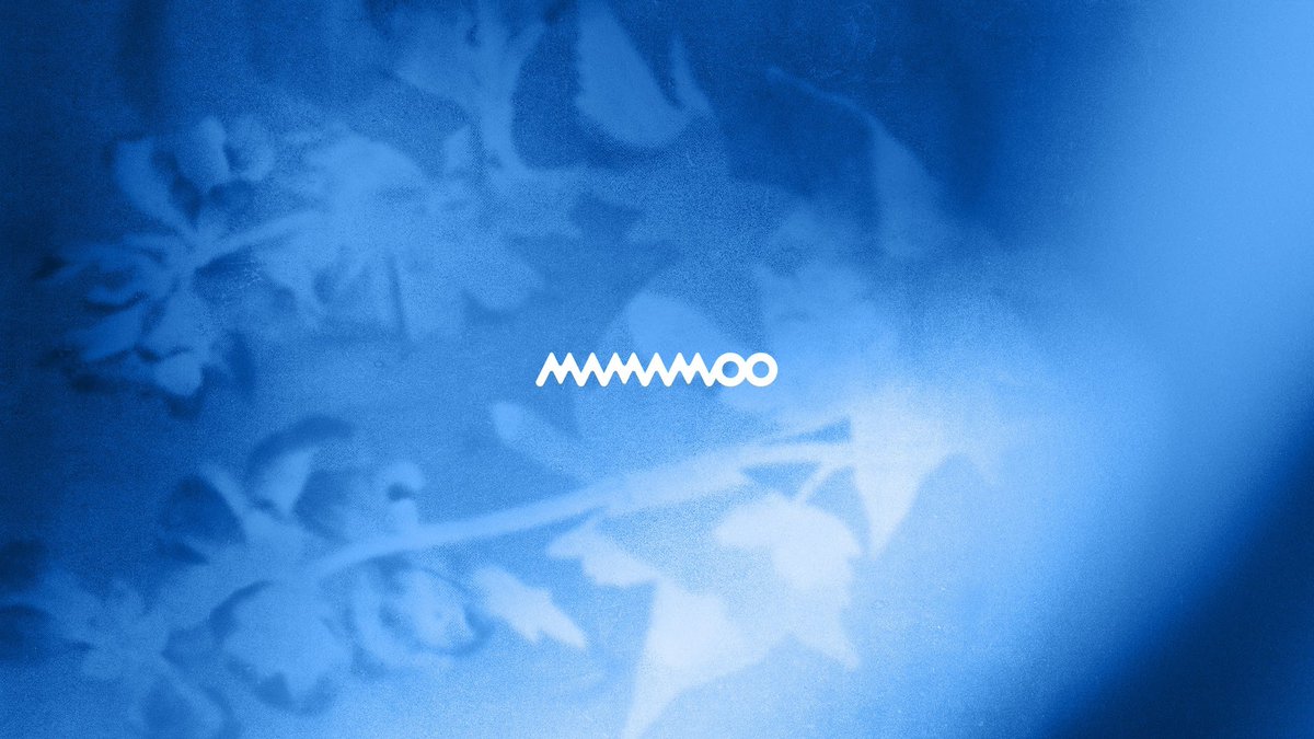 Sal2(slow) tweet media