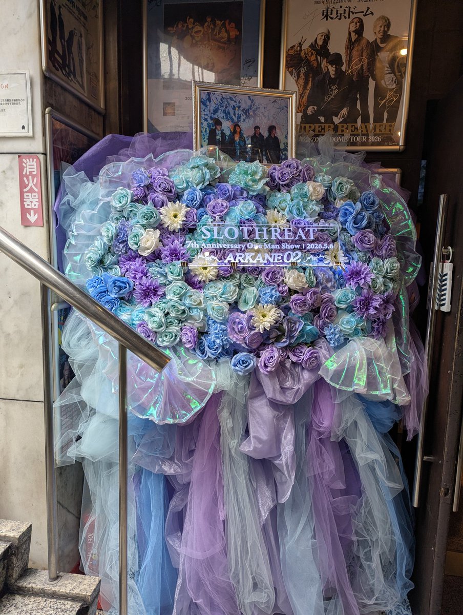 ✨ローラ✨ tweet media