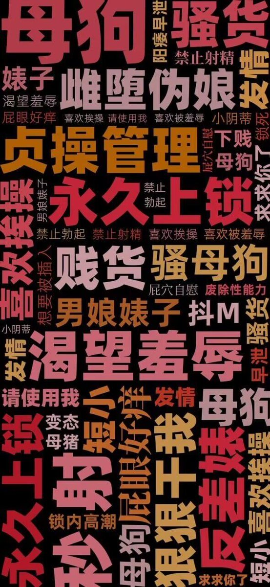 随风 tweet media