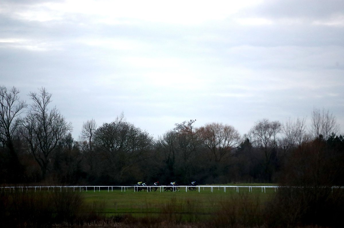 The Winners Enclosure tweet media