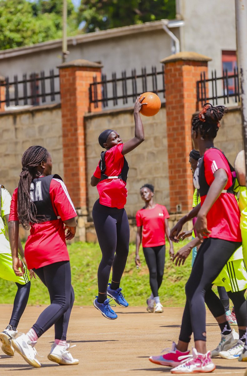 NIC NETBALL CLUB tweet media