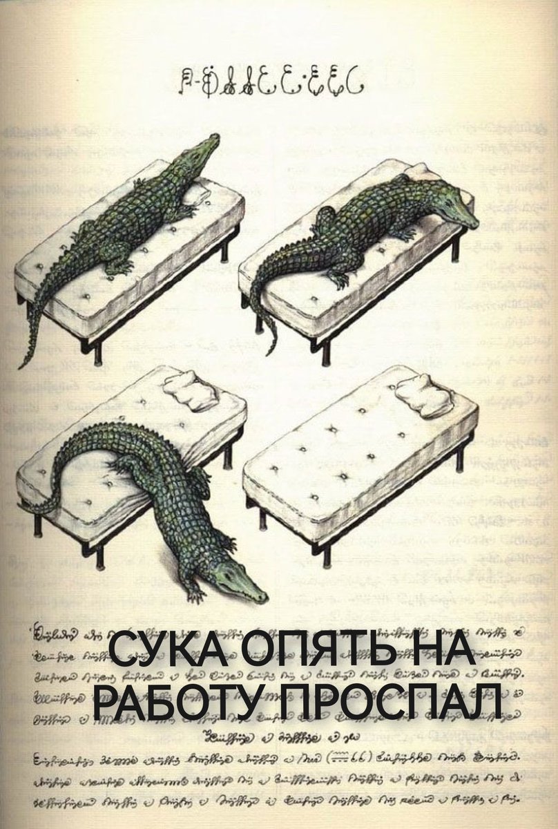 Тлеубенберри tweet media