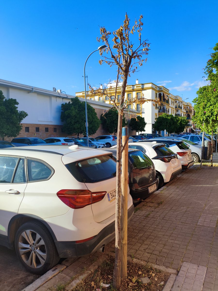 Vecinos C/ Antonio Buero Vallejo tweet media