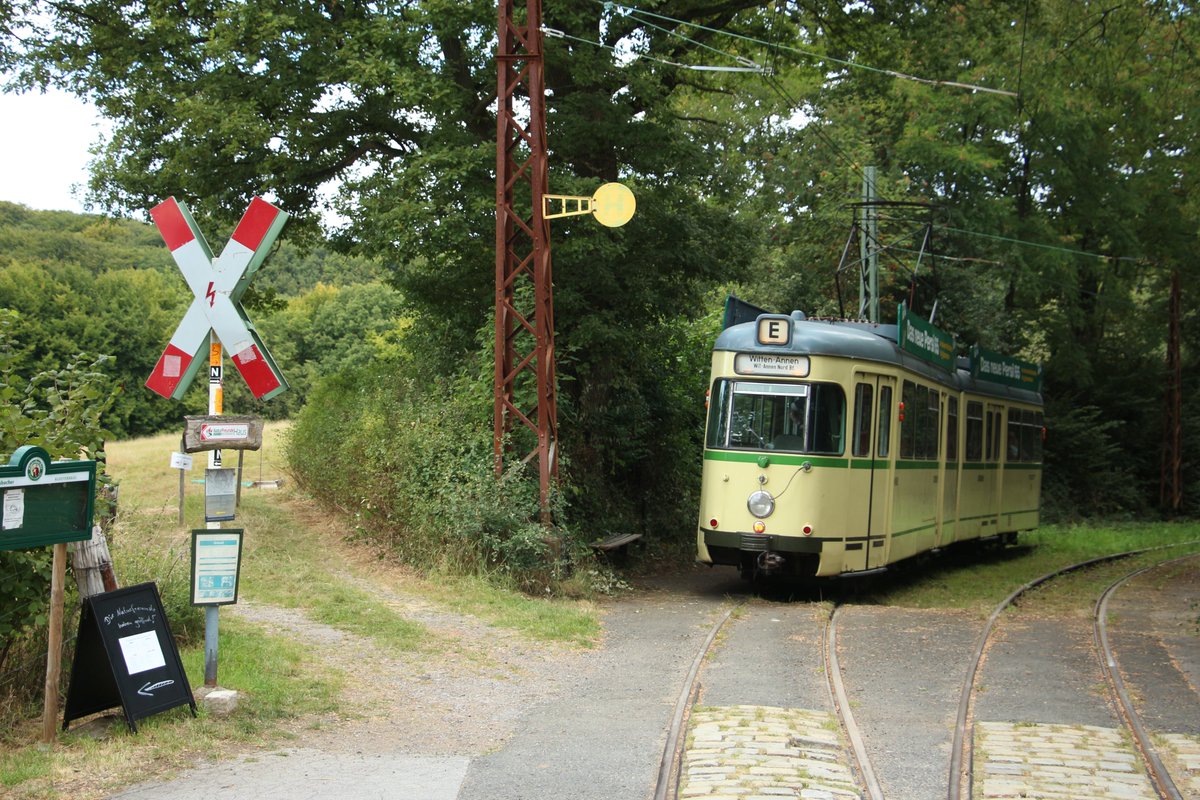 Tramathon tweet media