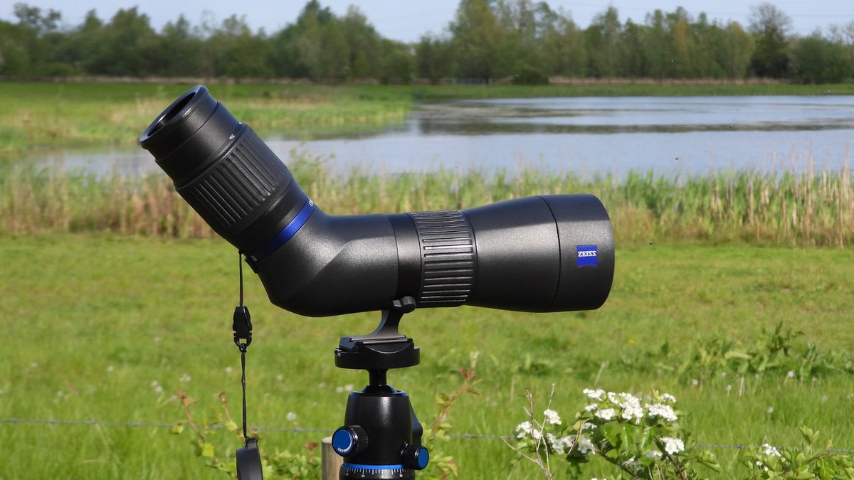 THE BIRDER'S STORE tweet media