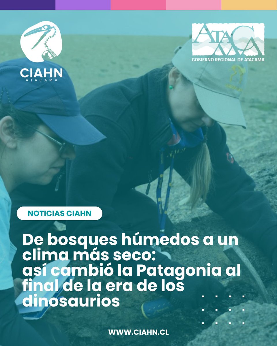 CiahnAtacama's tweet photo. 🌿🦕 De bosques húmedos a climas más secos: así cambió la Patagonia al final de la era de los dinosaurios

🔬 Conoce más en la nota completa y descubre cómo las plantas fósiles permiten reconstruir el clima del pasado:

➡️https://t.co/hAVD5aGPZN https://t.co/prMb5czZHl