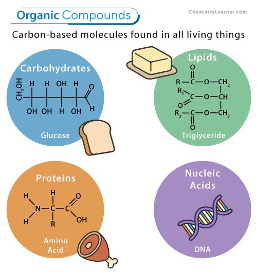 🧶 Red Velvet members as organic compounds!