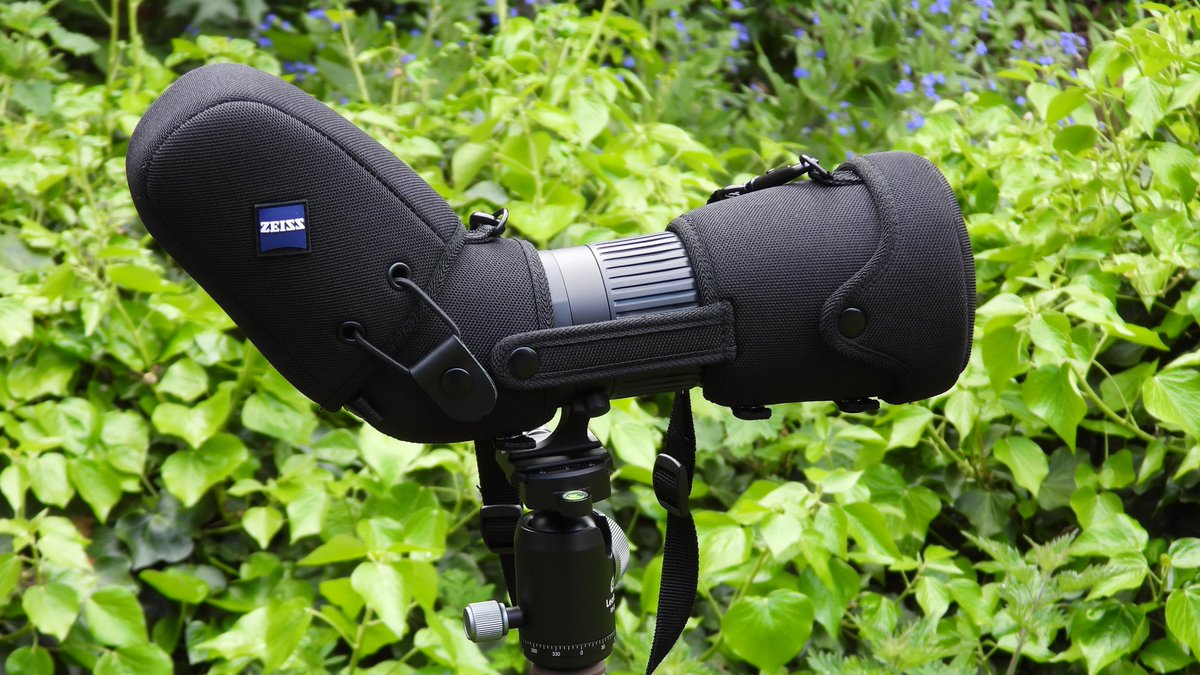 THE BIRDER'S STORE tweet media