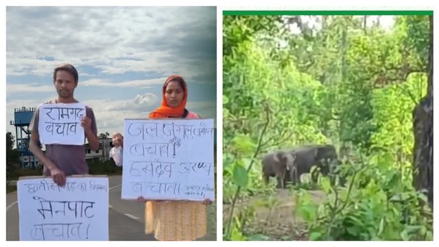 FriendsofHasdeo's tweet photo. छत्तीसगढ़ के हसदेव अरण्य में लगभग 7 लाख पेड़ों को काटने की तैयारी अब लगभग पूरी हो चुकी है.
#SaveHasdeo 

https://t.co/iUfQfHkfSE https://t.co/OCDHL6ZfJD