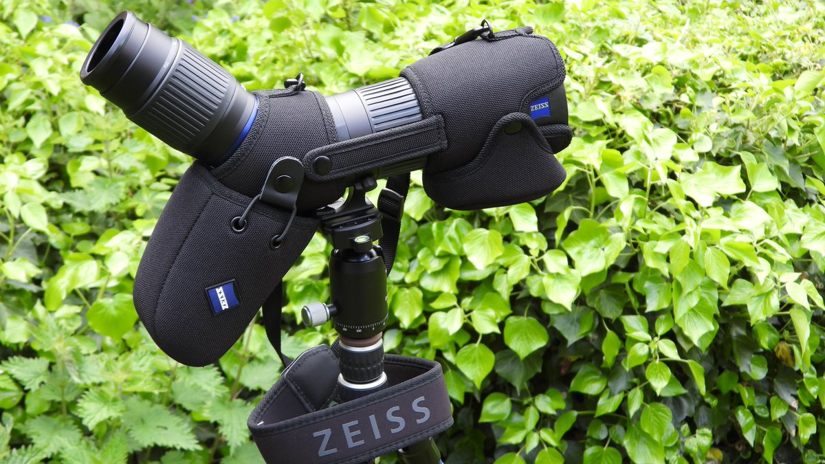 THE BIRDER'S STORE tweet media