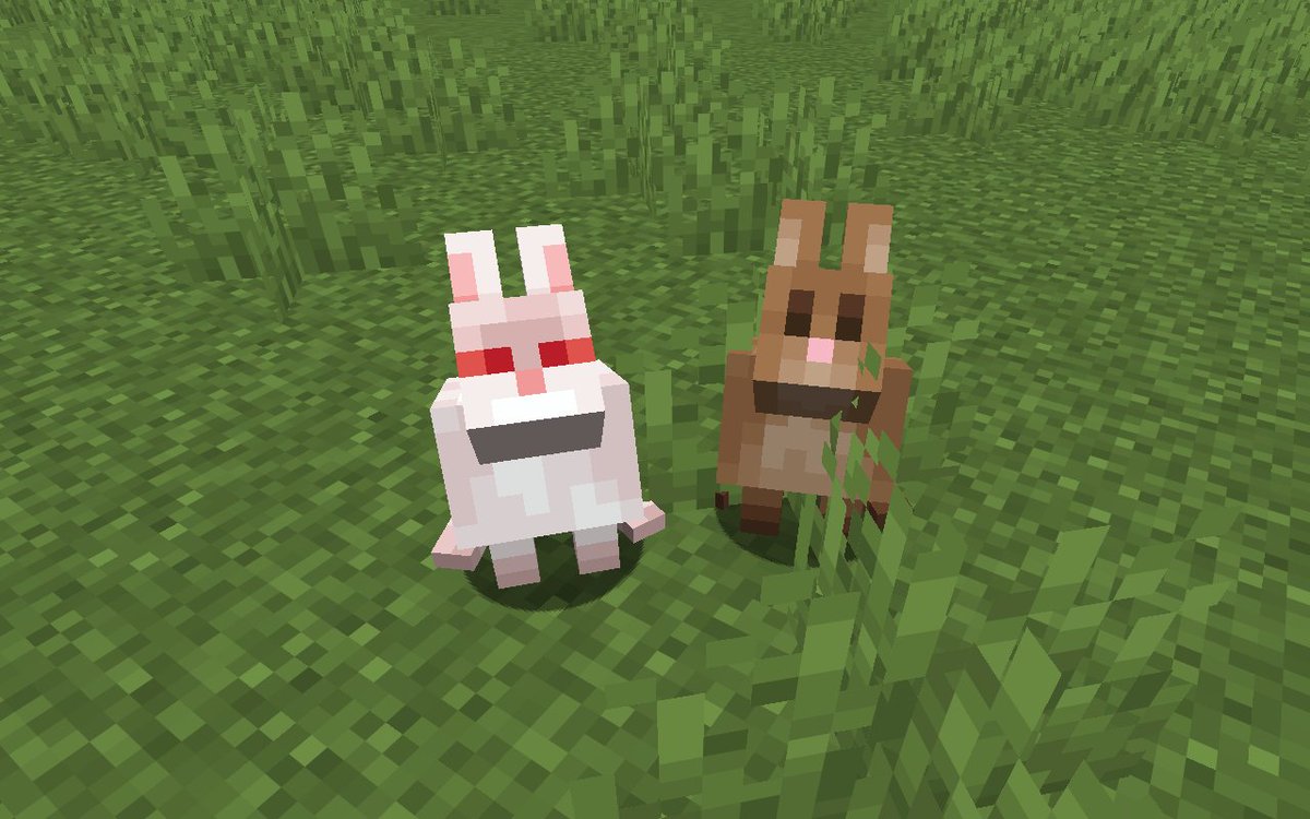 TheRinaAmatera1's tweet photo. Koi and Yama, but they're Minecraft bunnies 🐰
#killhamsters https://t.co/T1UMMw0Y1o