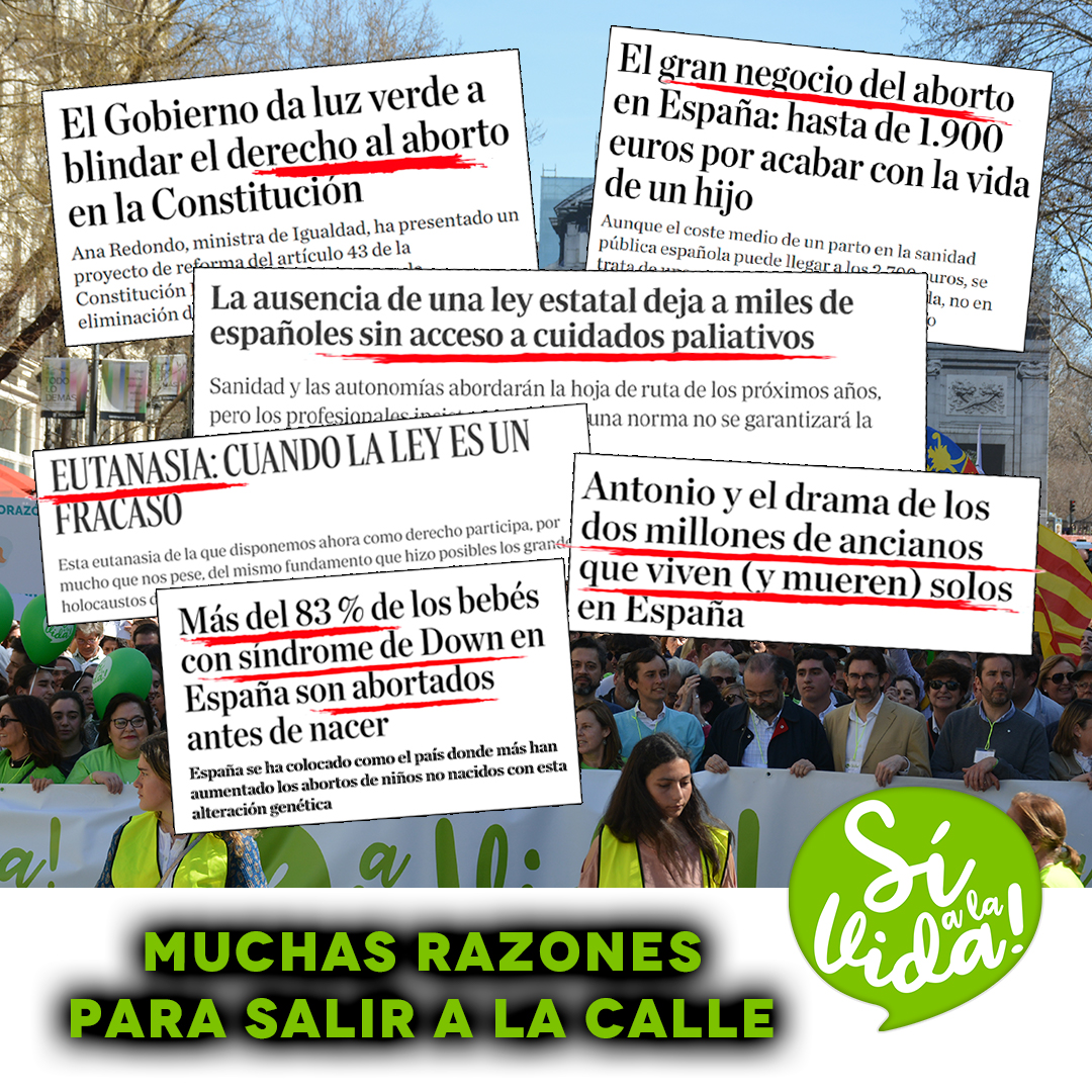 Sí a la Vida tweet media