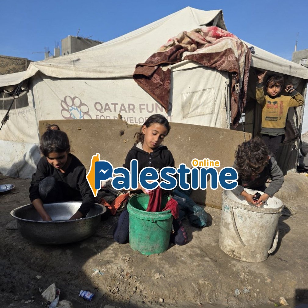 PALESTINE ONLINE 🇵🇸 tweet media