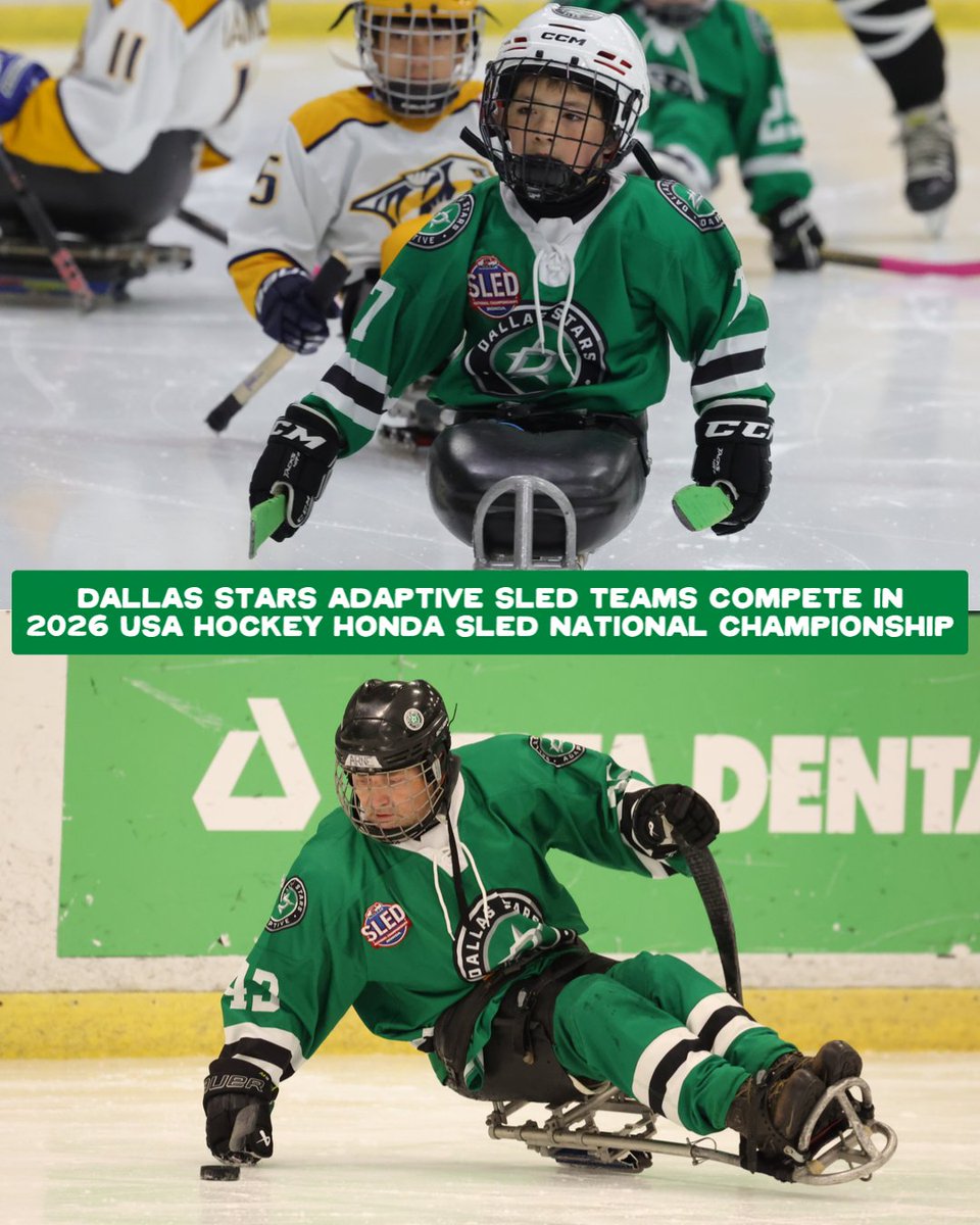 Dallas Stars Foundation tweet media