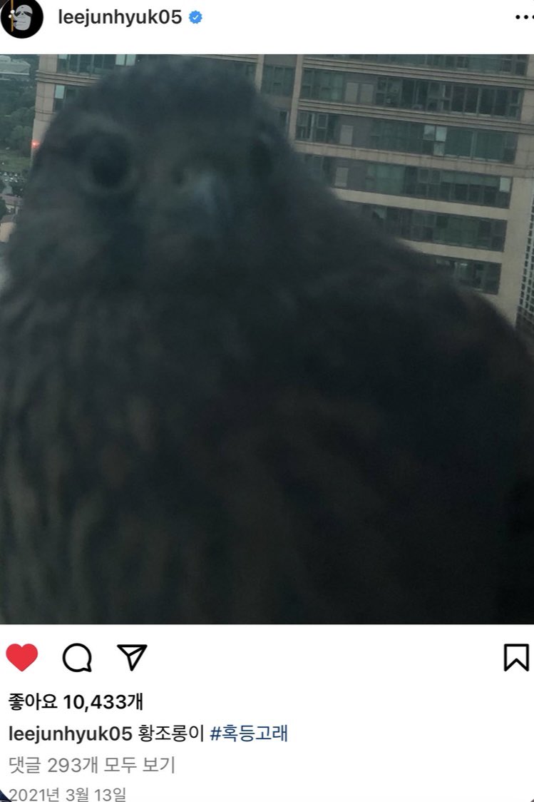 rero tweet media