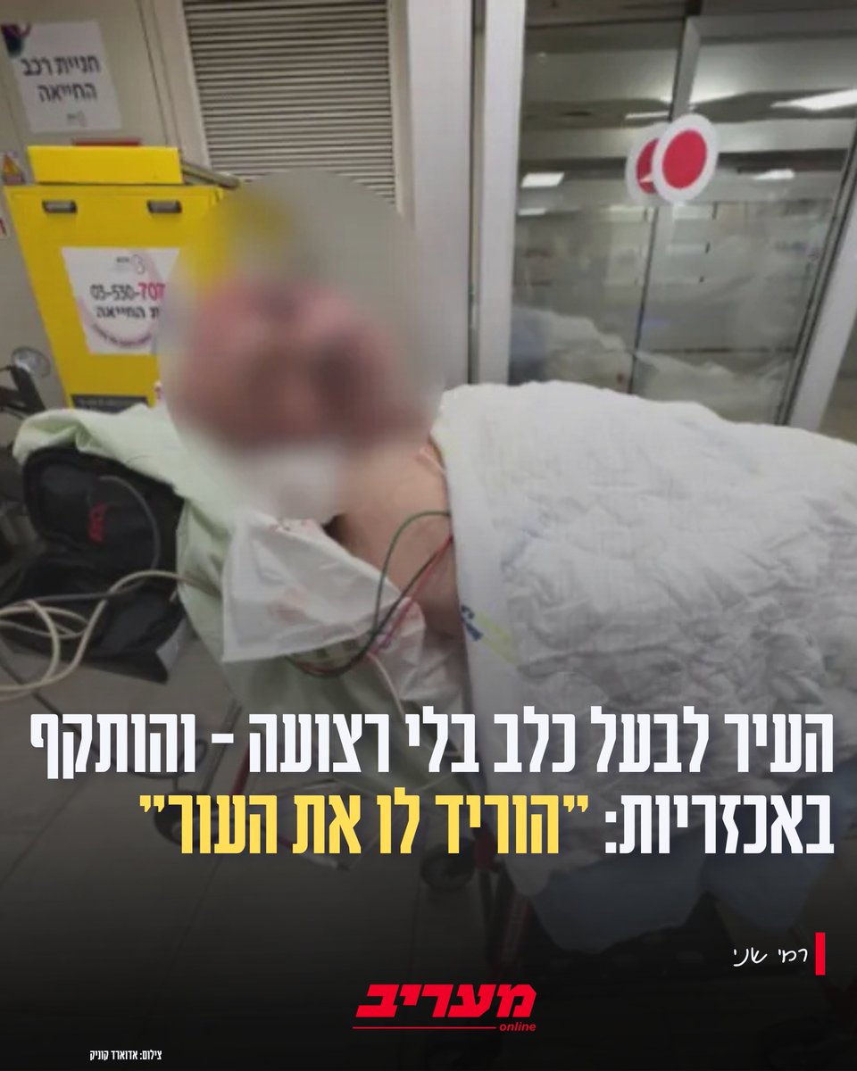מעריב | Maariv tweet media