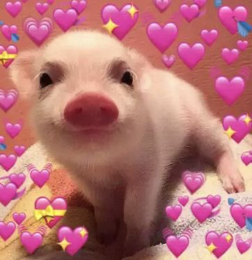 โอเล่จัง🐽 (𝐠𝐠.) tweet media