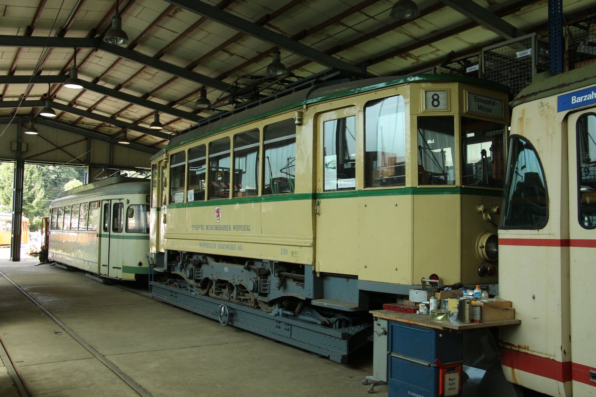 Tramathon tweet media