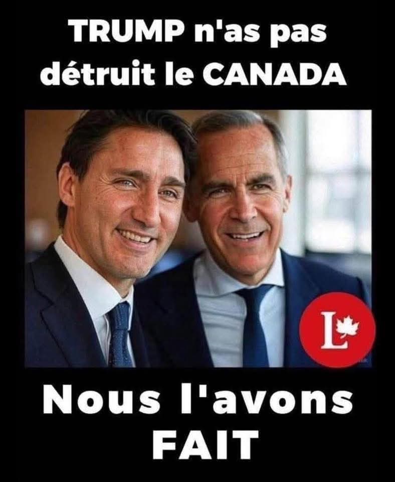 Pauvre conne... il y a pas assez de mises à pied dans ton #Cacanada et au #Québec ? Vis-tu au #Cacanada? Vas-tu acheter des actions de <a href="/MarkJCarney/">Mark Carney</a> ? 🤮🤮🤮