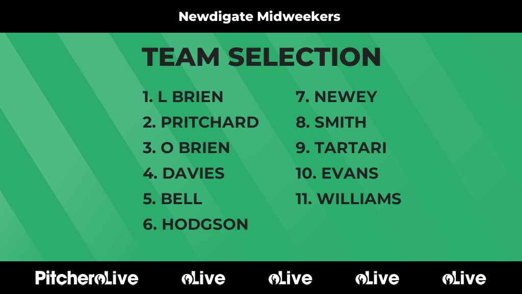 Newdigate Cricket Club 🏏 tweet media
