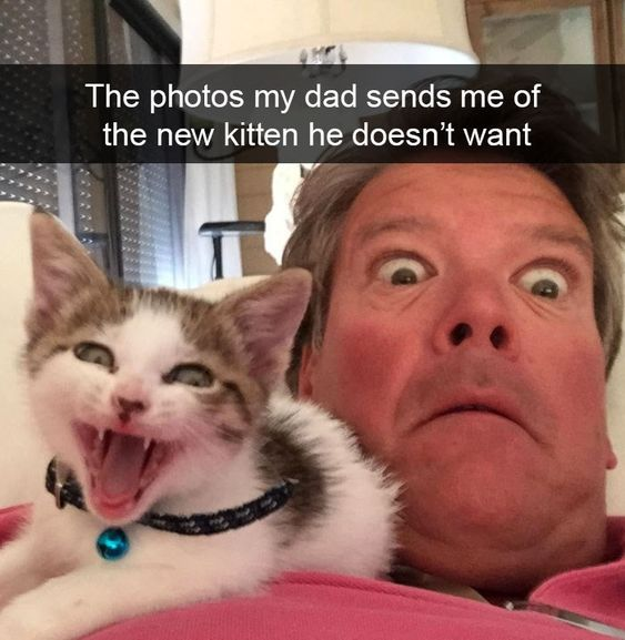 WholesomeMemes tweet media