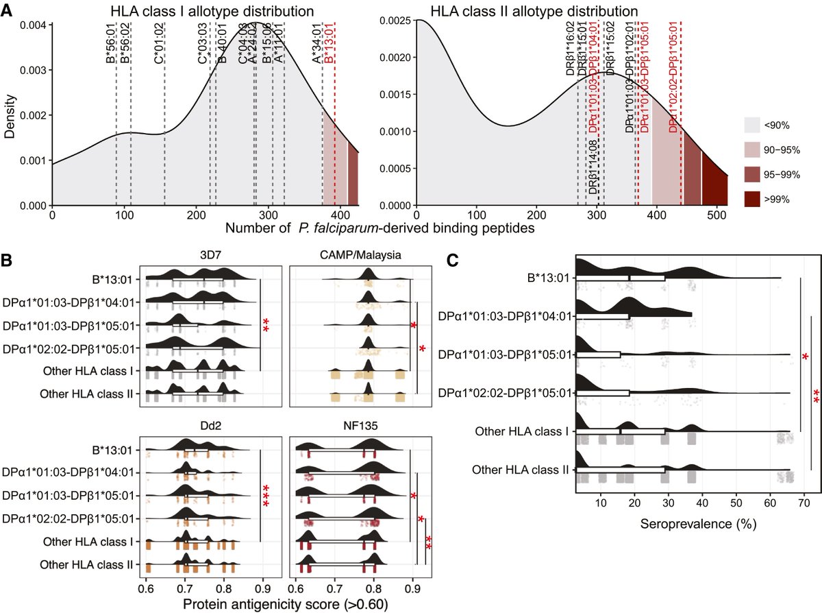 DanTabin's tweet photo. New paper from @NFontPorterias finds pathogen-driven selection in the HLA region of Papuans. Interestingly the selection and HLA landscape differs between highland and lowland groups, potentially due to different malarial burden.  Read it here: https://t.co/NOqAbdUMs6 https://t.co/8PZTJAIGz8
