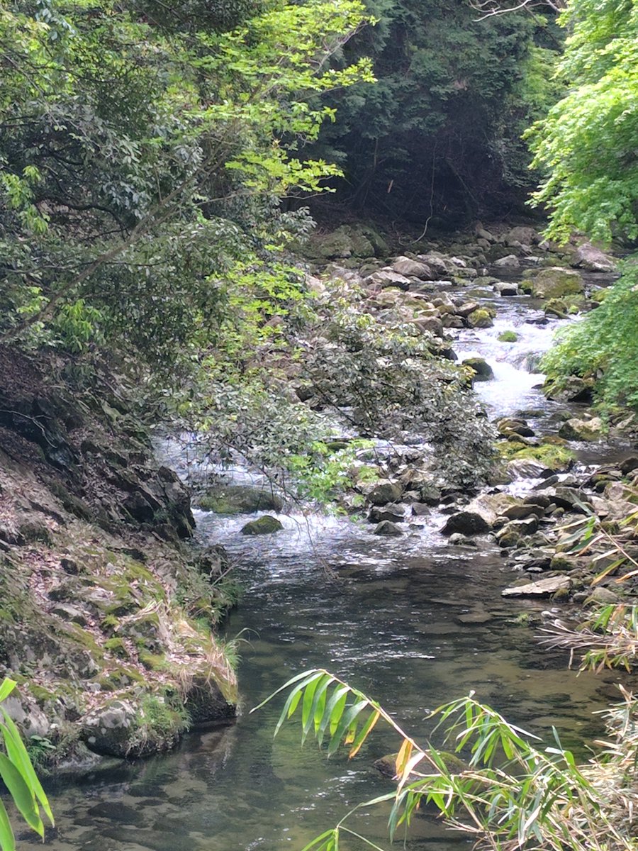 M25Bass's tweet photo. 久しぶりに山に行ってきました。　とても気持ち良くて、楽しかったです。 https://t.co/9hZ1326paM