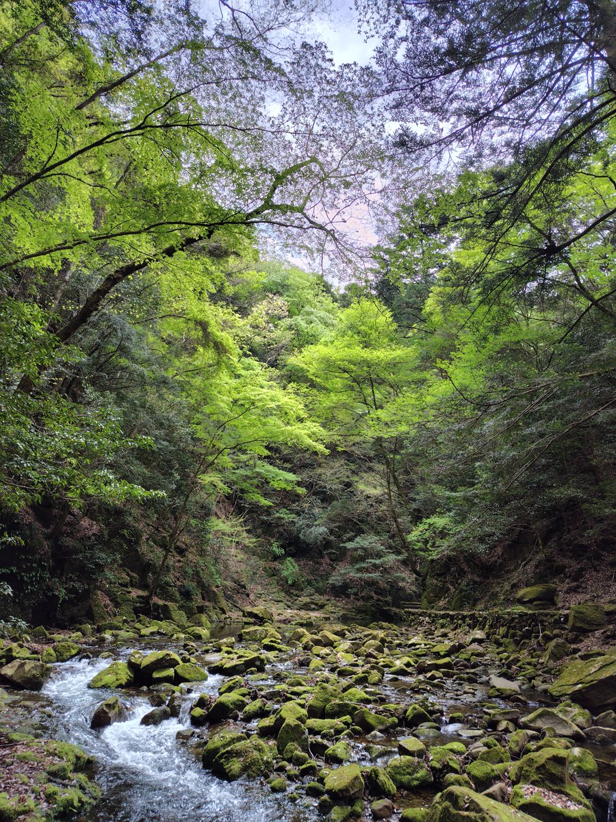 M25Bass's tweet photo. 久しぶりに山に行ってきました。　とても気持ち良くて、楽しかったです。 https://t.co/9hZ1326paM