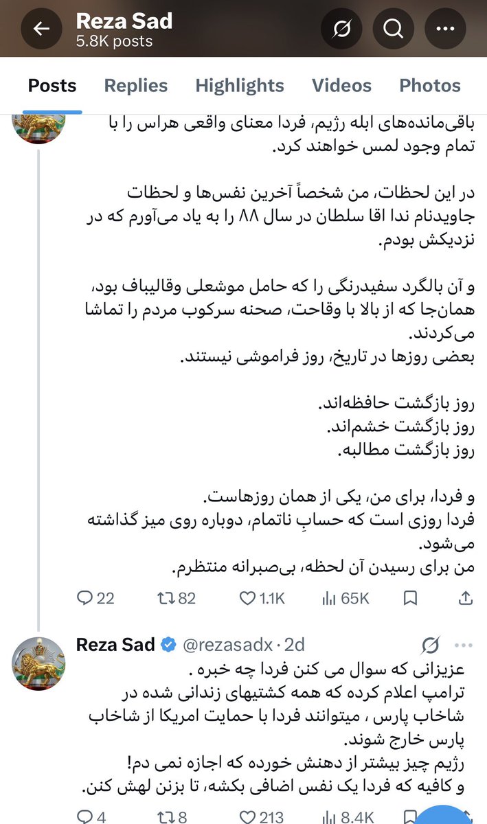 Nilou tweet media