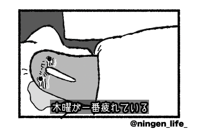 ningen_life tweet media