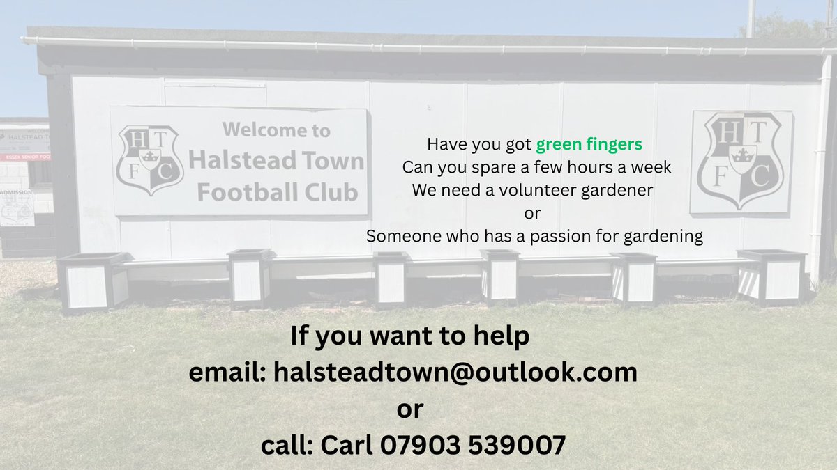 Halstead Town FC tweet media