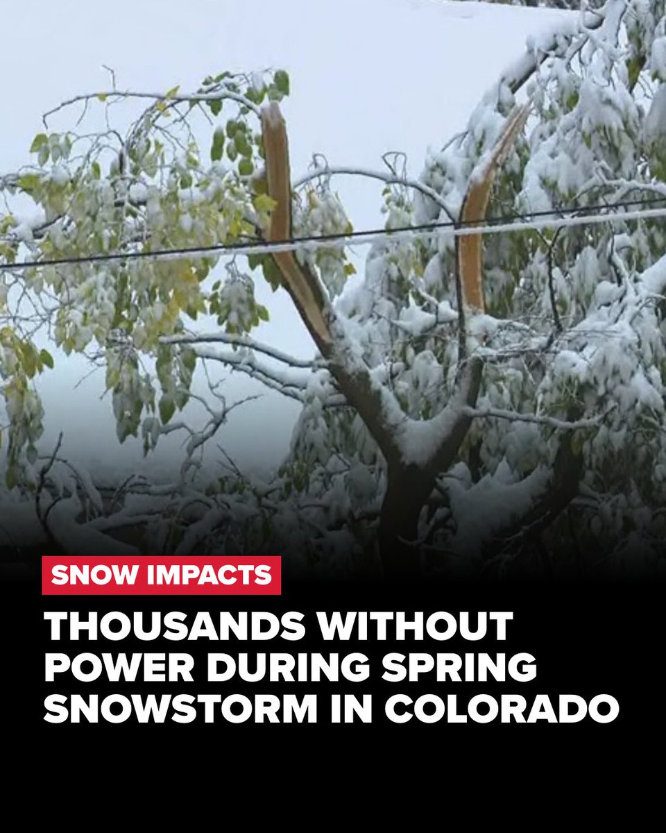 9NEWS Weather tweet media