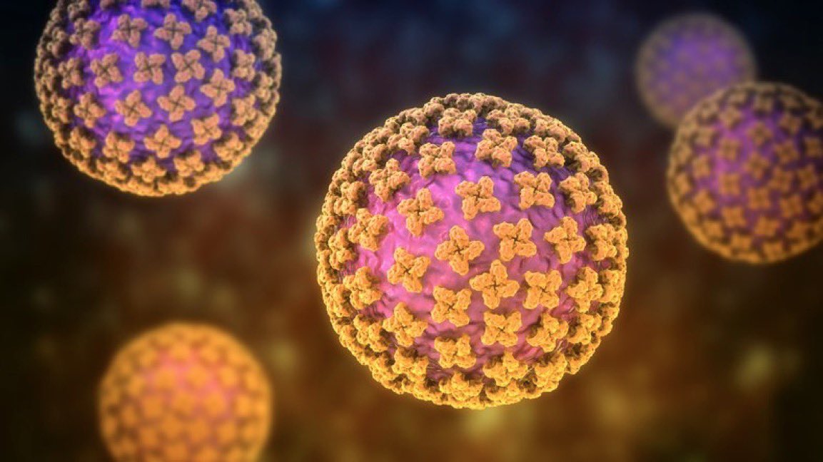 “Pandemia”

Porque la organización mundial de la salud advirtió una posible pandemia de Hantavirus.

Perfecto para poner cuarentena en la salida del GTA 6.