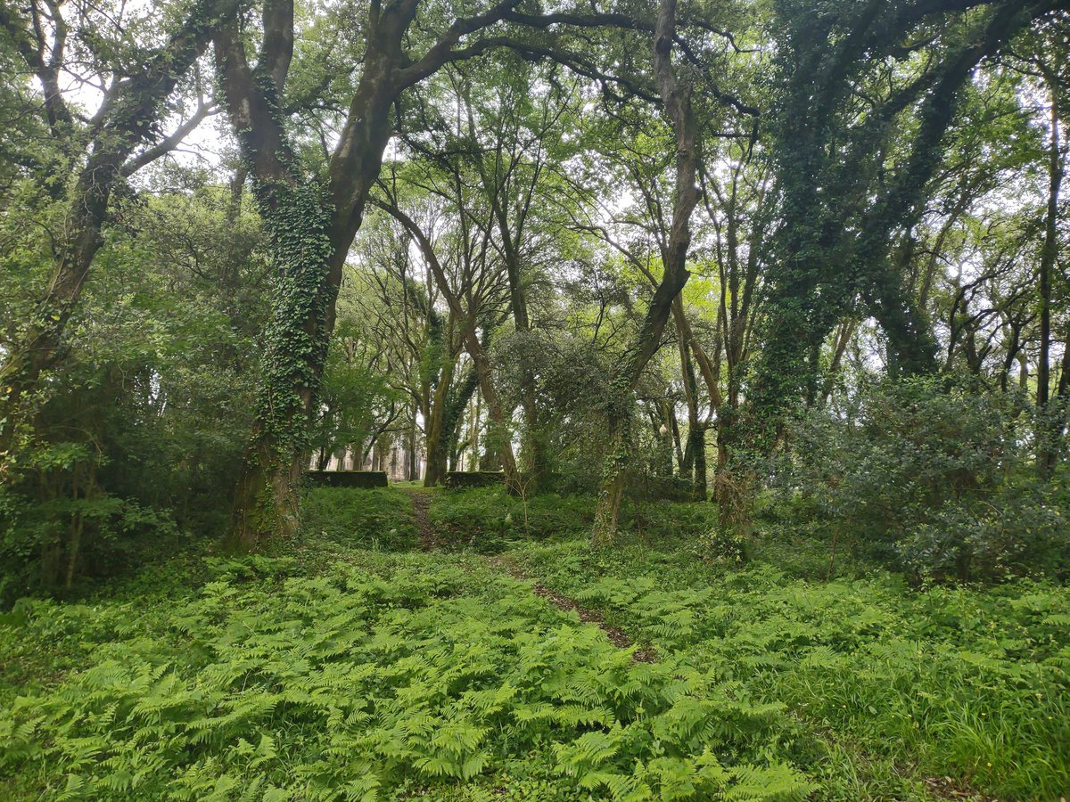 Desde El Norte™, hoy hemos alternado xirimiri y jarreadas, nos falta el chubasco con ganas y el racheado por viento pero todavía no son ni las seis, hay tiempo.