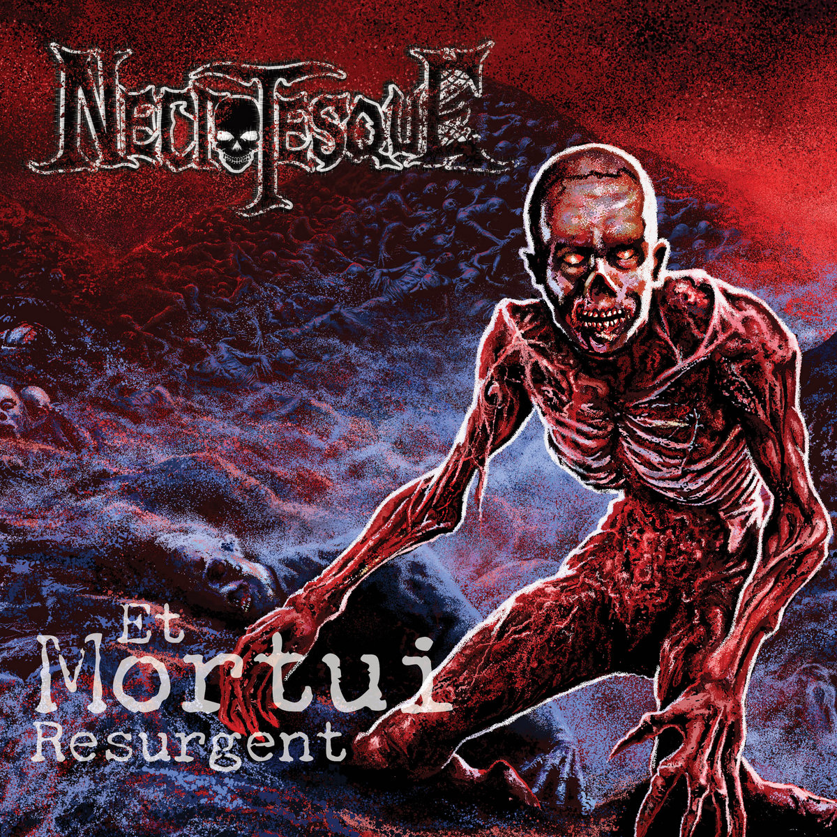 DISCOS DEATH: Reseñas Discos Metal Extremo 💀💿 tweet media
