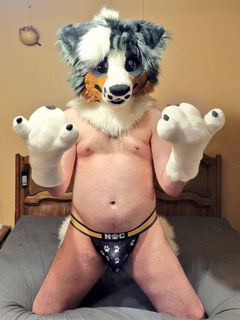 KnottyCollie's tweet photo. Hello! Welcome to my sinful corner of the interwebs!

I'm here to be a general horn-dog, post the occasional softsuiting/petsuit stuff, make friends and have a good time. 

-Male
-Bi
-Demi
-Service/vers Top
-Single (and not looking)
-Open to collabs/fun with MUTUALS. https://t.co/7TDvmDAnhR