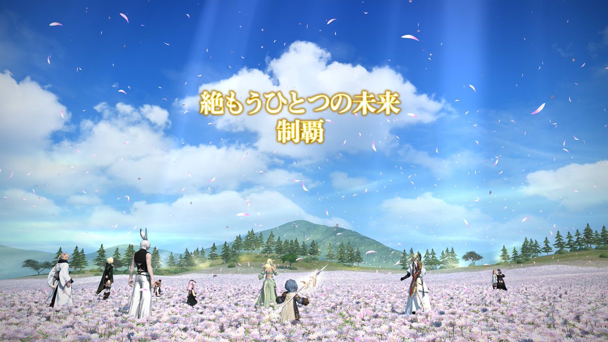 ぴよここ tweet media