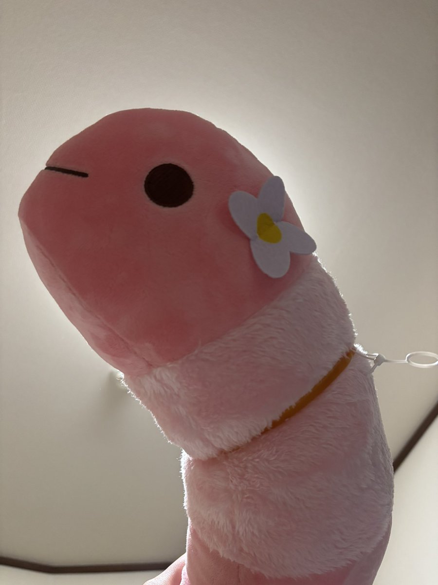 msmn415's tweet photo. 取れてん✨ https://t.co/6y8DmMkIW6