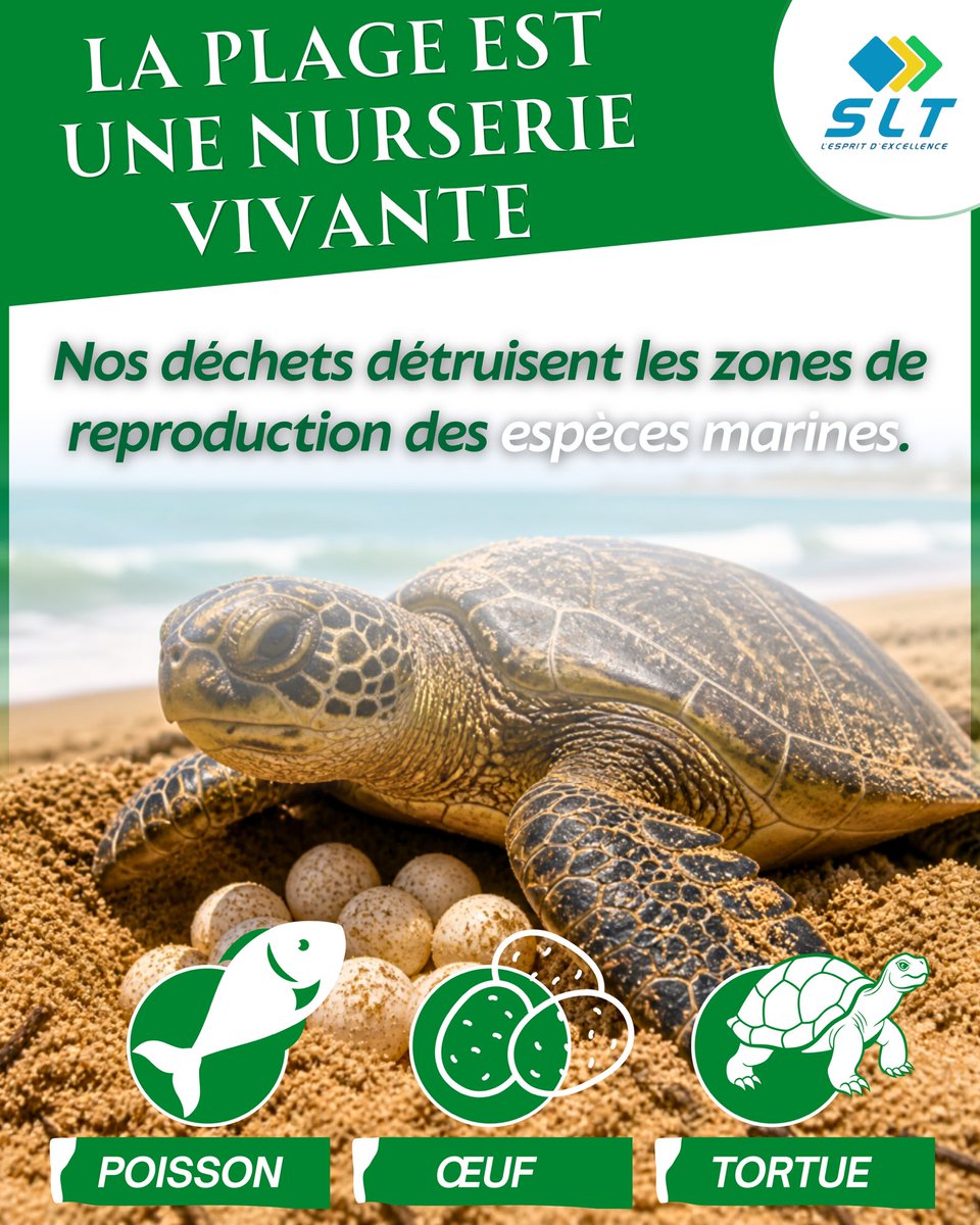 SLT_Officiel's tweet photo. Protéger notre littoral, c’est agir maintenant, ensemble.

#Environnement #Littoral #Tourisme #TourismeDurable #Sénégal https://t.co/BQWwml5rno