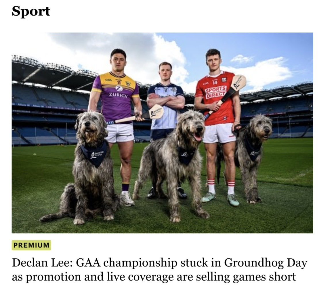 Declan Lee tweet media