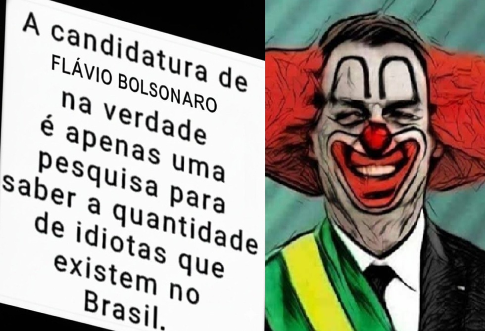 francisco b. junior tweet media