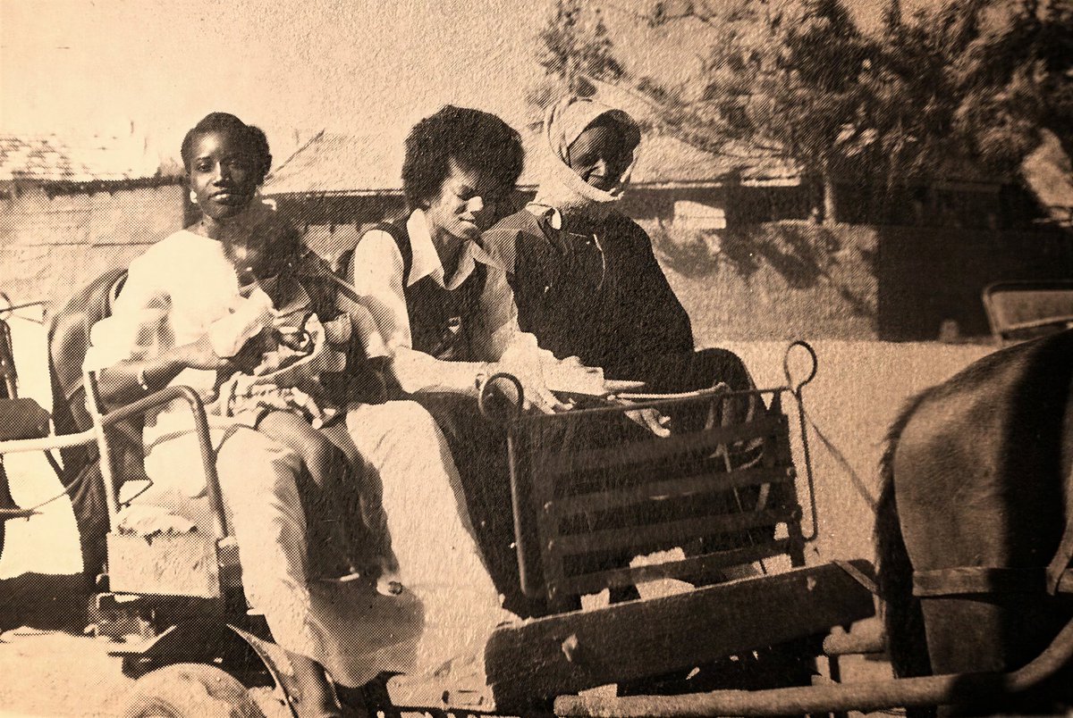 𝙇𝙚𝙪𝙢𝙞𝙣𝙚 🇸🇳🇵🇸 tweet media