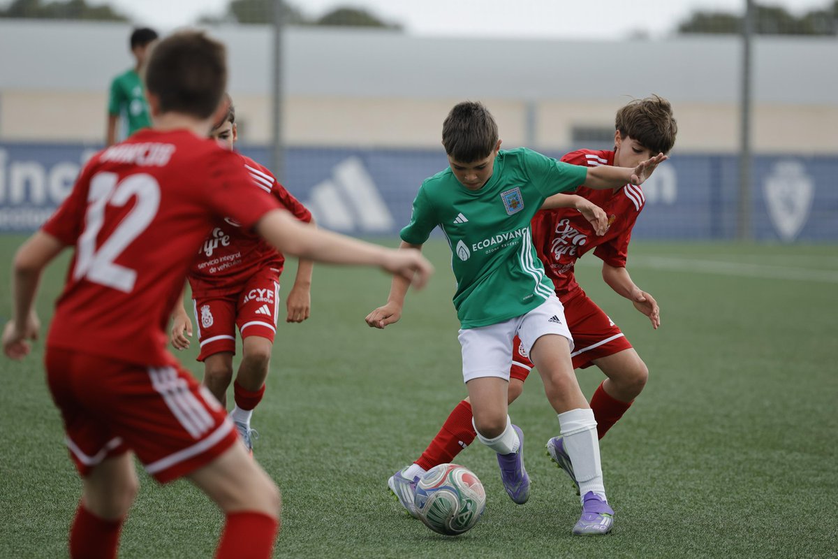 SdCantera's tweet photo. 🔴🔵 SD Tarazona Categoría Alevín.  XVIII Torneo San Jorge. https://t.co/IRPPdbB3zg