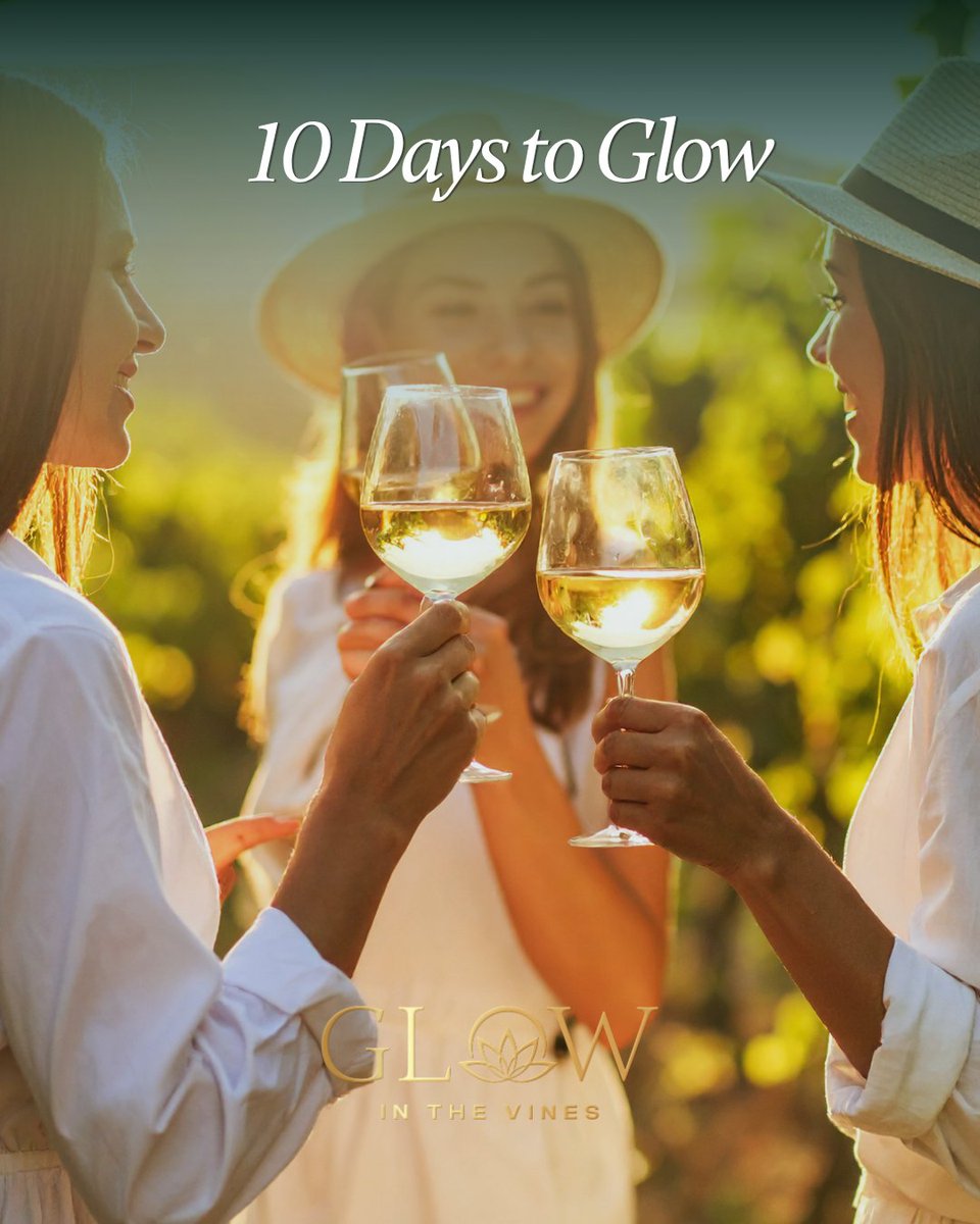 spiritofniagara's tweet photo. 10 days to go ✨ 
We can’t wait to welcome our guests to the inaugural Glow in the Vines at Château des Charmes. 

Grateful for everyone who’s joining us already 💛 
A limited number of tickets remain — come be part of something special.

https://t.co/7HMk8wSJyw https://t.co/7KvuXueF03