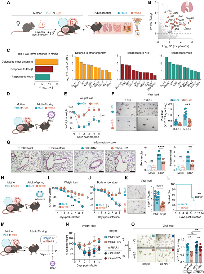 Waggoner Lab tweet media
