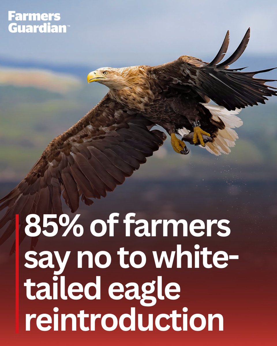 Farmers Guardian tweet media