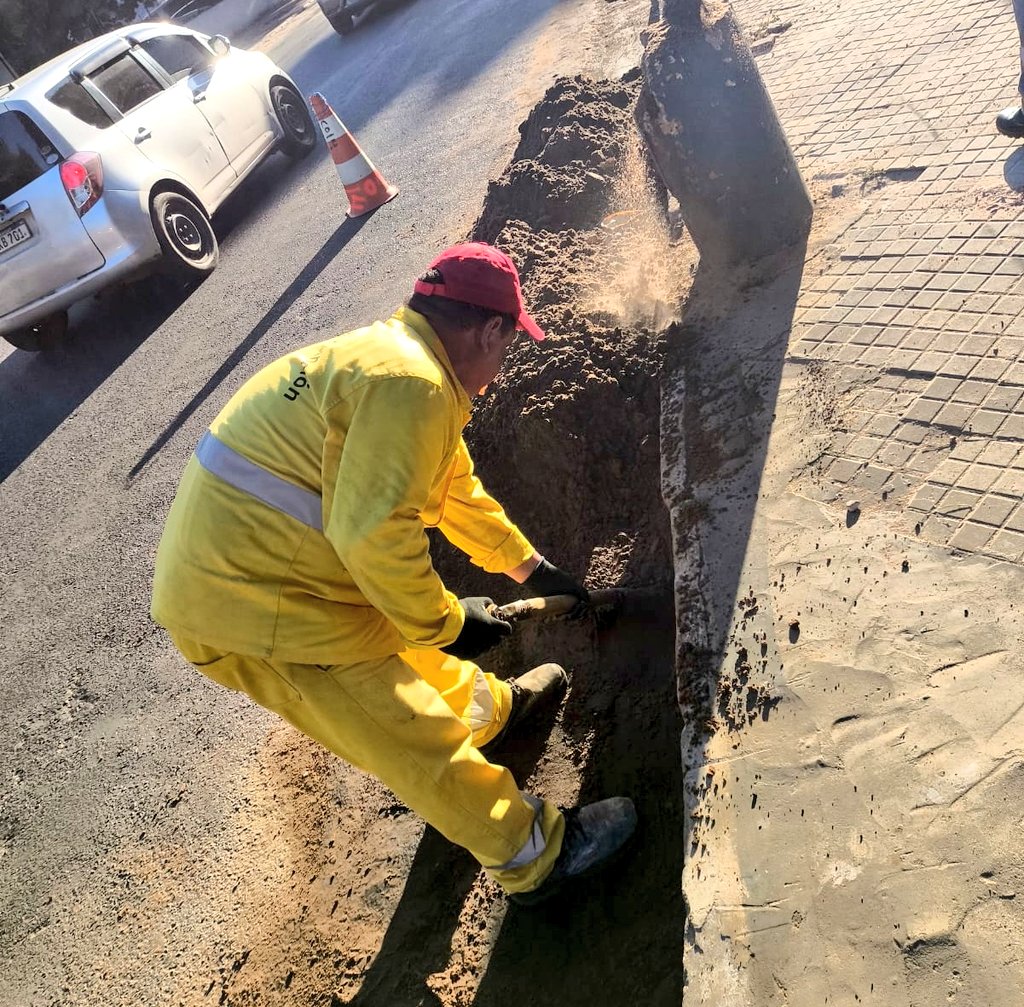 Av. Artigas 🛣️
👷‍♂️✨ Con el objetivo de optimizar la circulación y brindar mayor seguridad a los transeúntes, nuestros equipos realizan una intervención integral en dicha arteria.
Tareas:
✅ Levantamiento de arena
✅ Desmalezado
✅ Limpieza general
✅ Disposición final de residuos